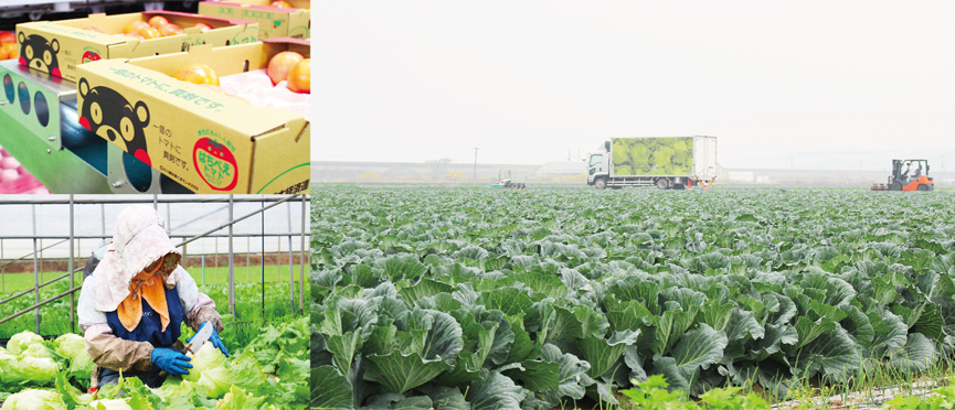 Feast "vegetables of Yatsushiro" from production center