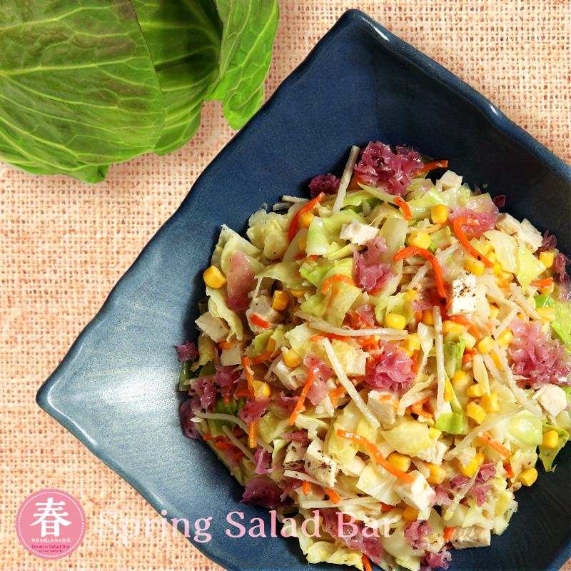 2019_springsalad08b