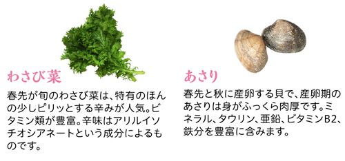 S_20190215_springsalad_06