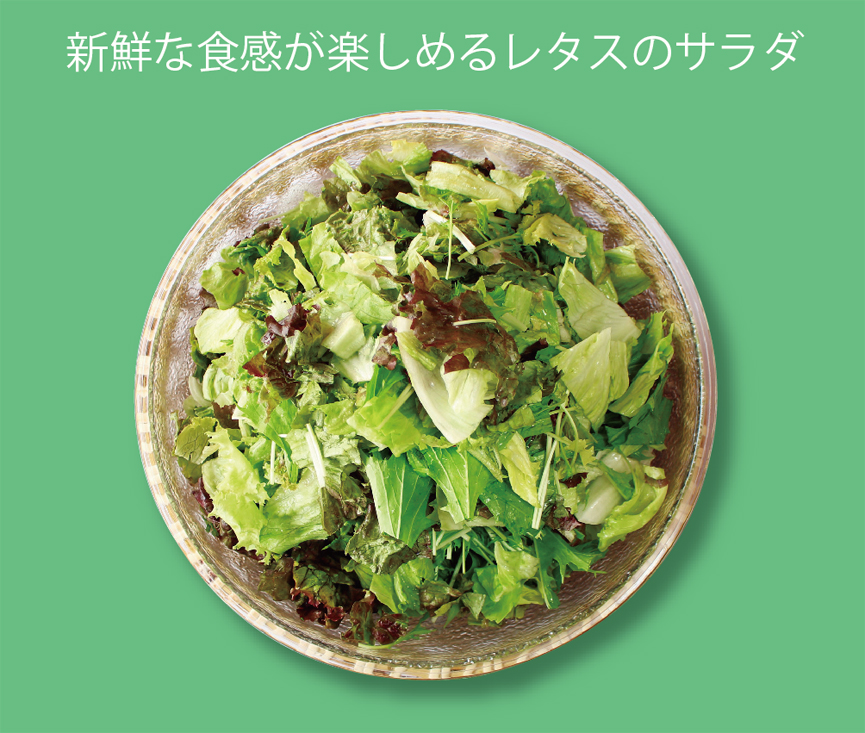 0527_Salad_lettuce02
