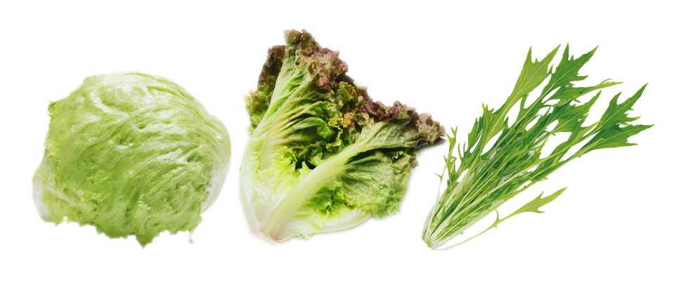 S_lettuce_image