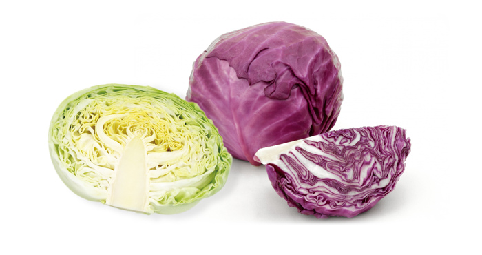 S_cabbage_img