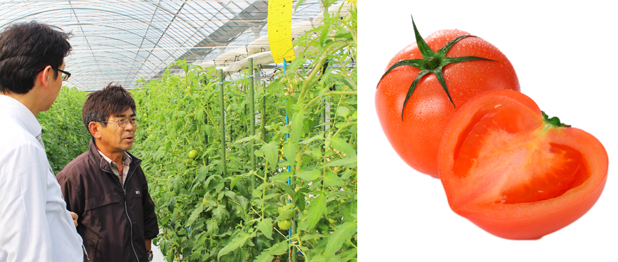 OM_yatushiro_gochiso02