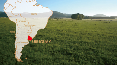 0527_OM_uruguay_BBstory01