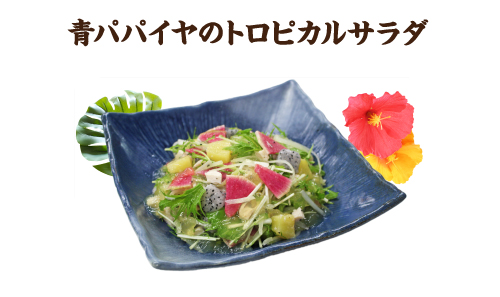 0617_okinawasalad05b