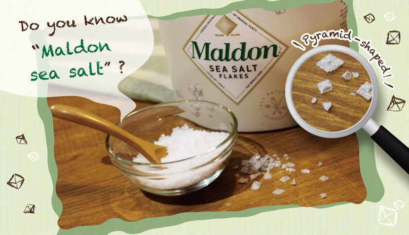 maldonseasalt00