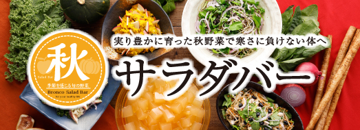 ランチメニュー ステーキ ハンバーグのブロンコビリー ランチメニュー ステーキ ハンバーグのブロンコビリー