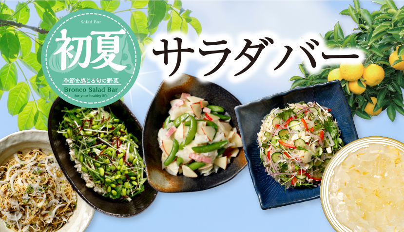 2023年【期間限定】初夏サラダバー